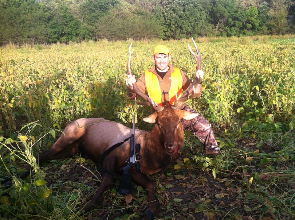 Elk images 2015 & 2016 Fort Riley iSportsman