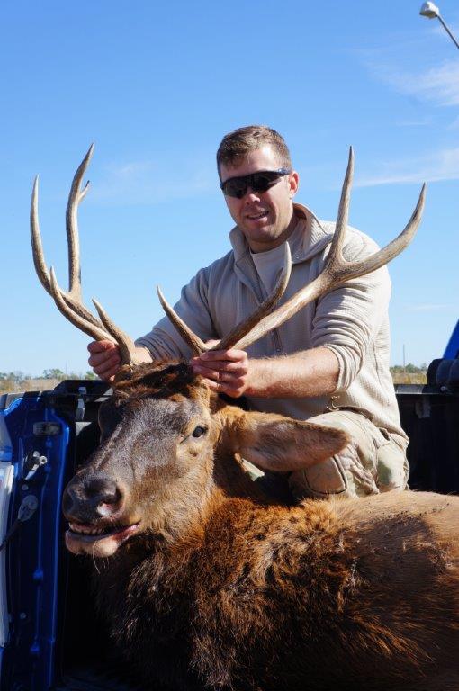 Elk images 2015 & 2016 Fort Riley iSportsman